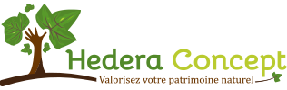 Hedera Concept Logo